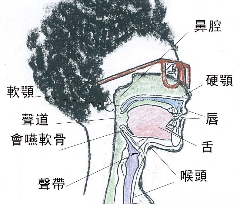 說話有鼻音或娃娃音怎麼辦？